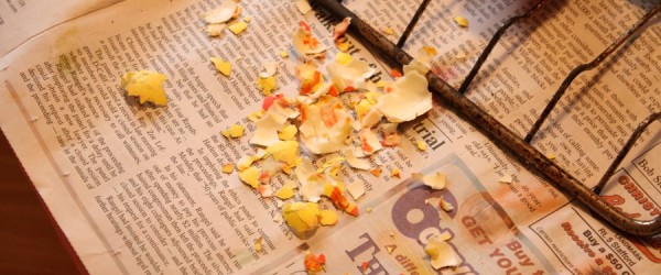 Egg, peeled, destroyed, uneaten.